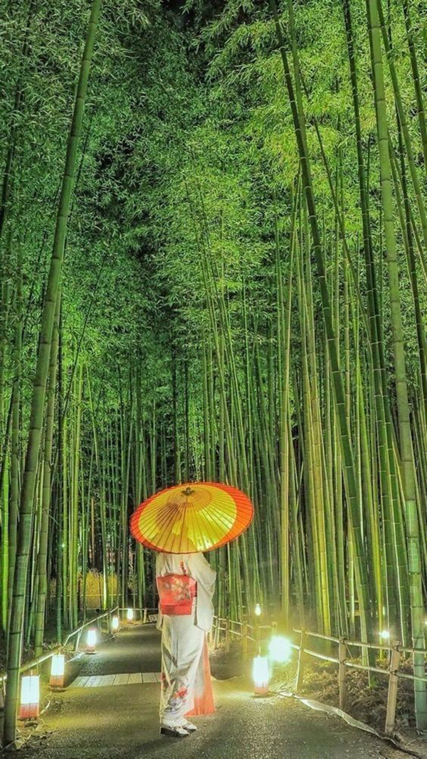 arashiyama bamboo japan destination