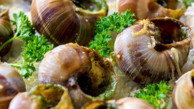 escargot francefood