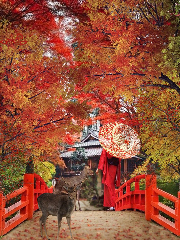 narapark japan destination travel