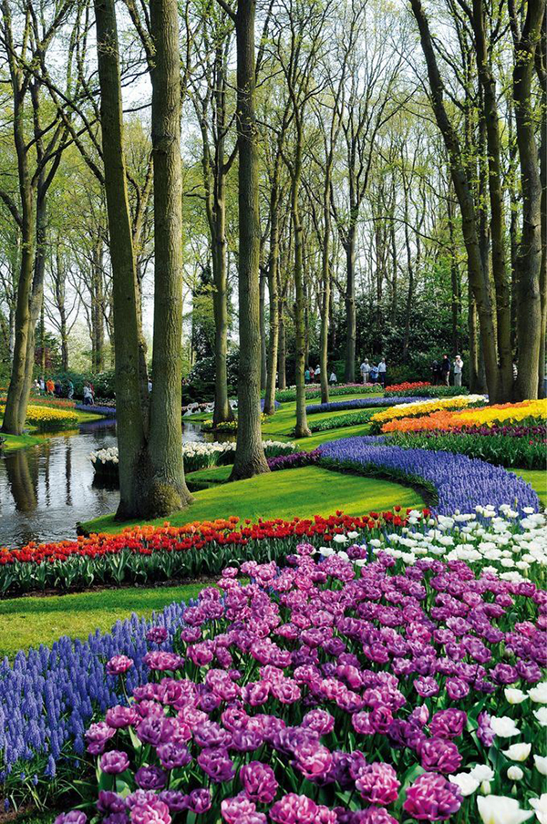 Keukenhof gardens netherlands destination belanda