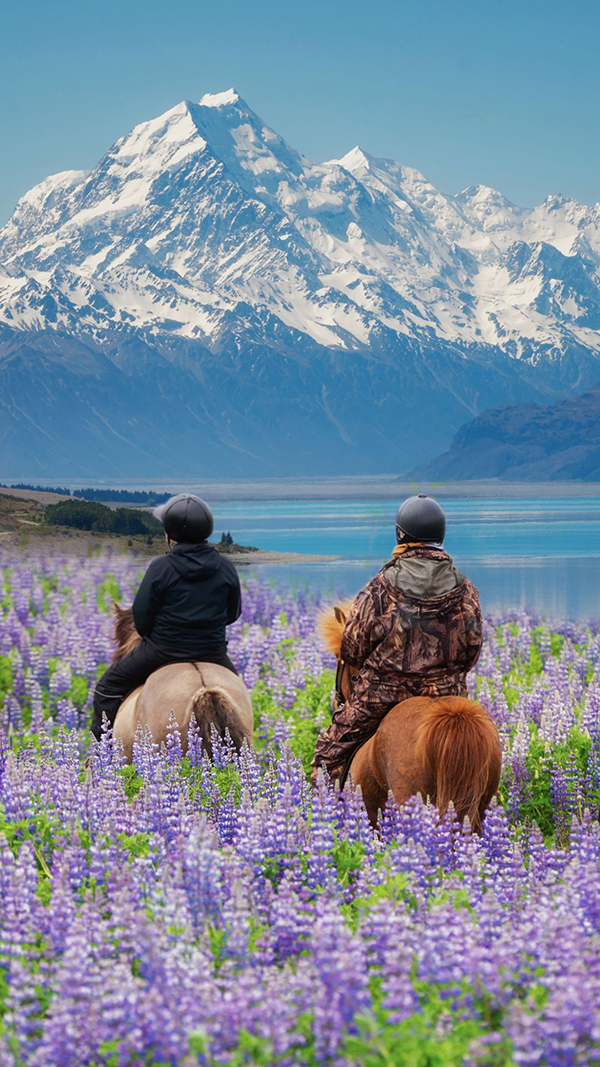 beauty natural newzealand travel