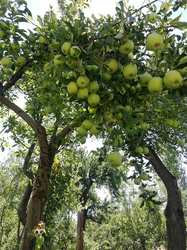 malang destination travelideas indonesia honeymoon