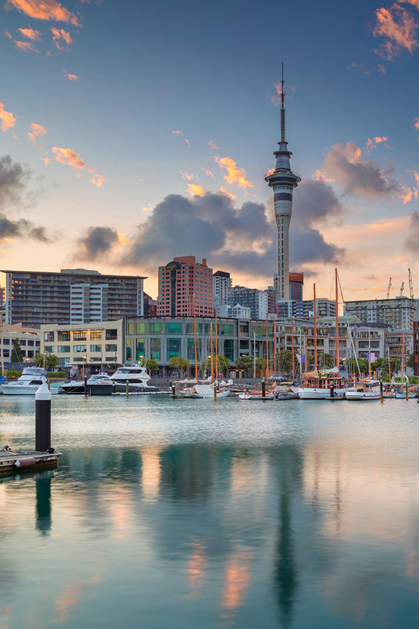 newzealand travling solotravel newzealand travling solotravel